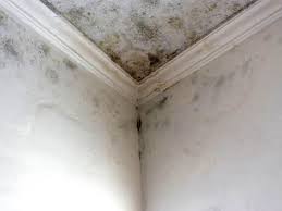 Best Mold Removal for HVAC Installations  in Cottonwood, AL