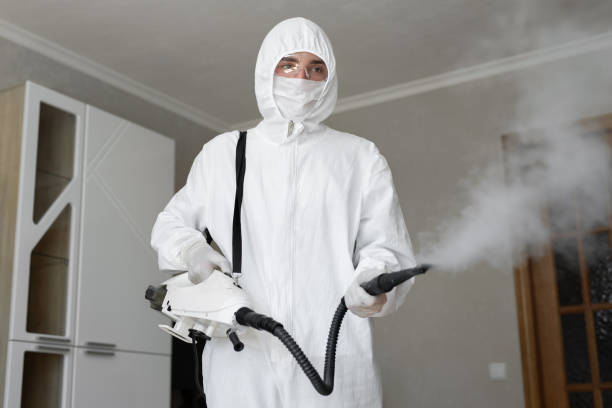 Best Mold Prevention Services  in Cottonwood, AL